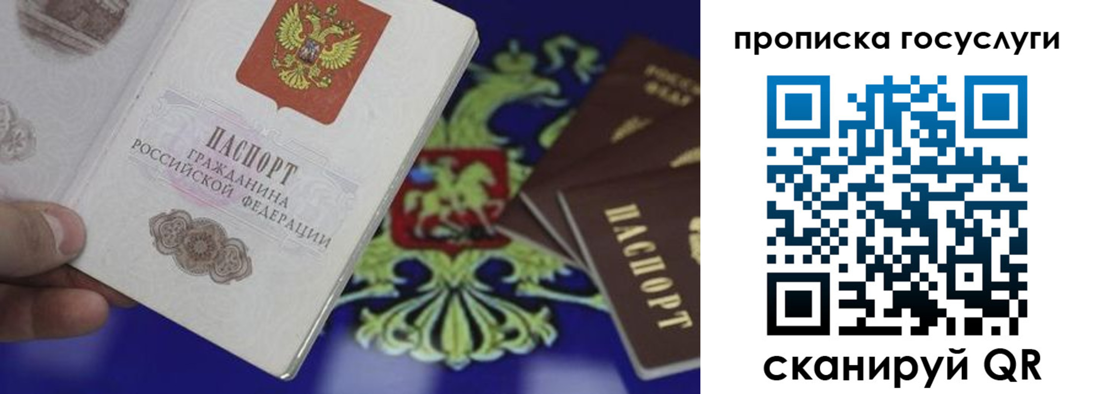прописка для школы в Губахе